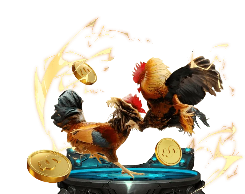 Tổng quan về nền tảng đá gà trực tuyến MCW87 Live